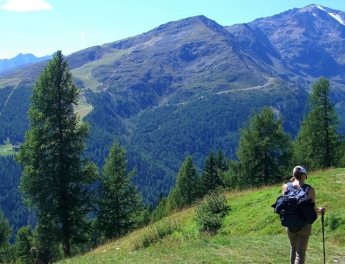 Sommer – Wandern in Ulten