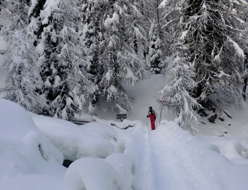 Alpine skying